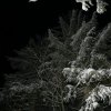 20060211_021